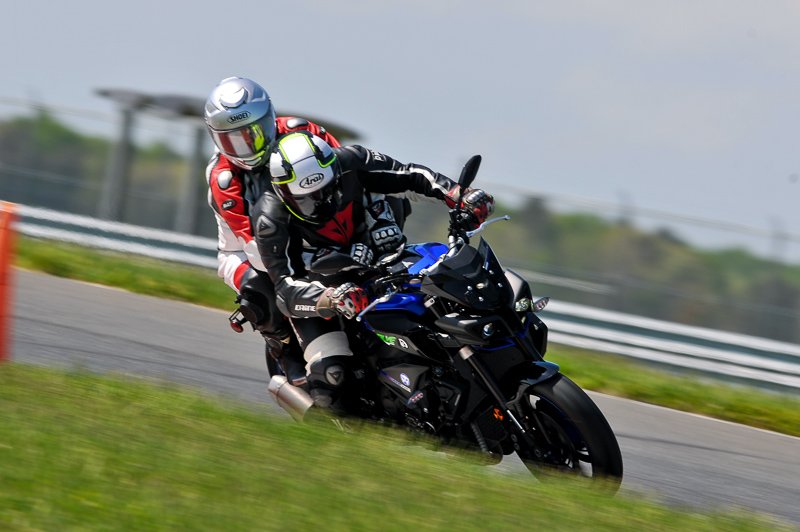 CONFESSIONS OF BILL SINK